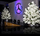 Luxury, Elegance and Perfection - Garage Isla Verde Mercedes Benz